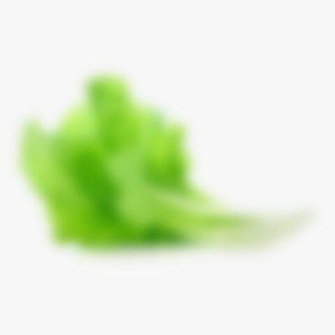 Lettuce salad leaves